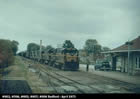 Picture 43