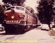 Picture 30