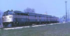Picture 42
